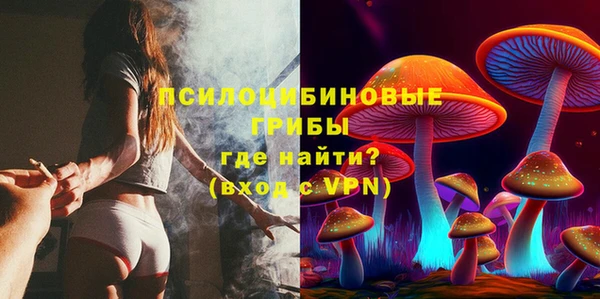 гидра Елабуга