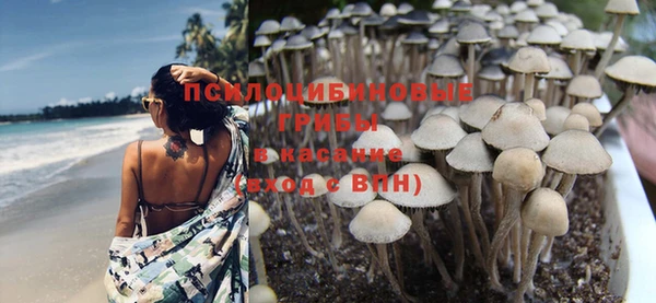 скорость Елизово
