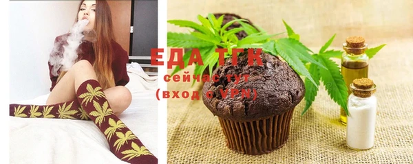 гидра Елабуга