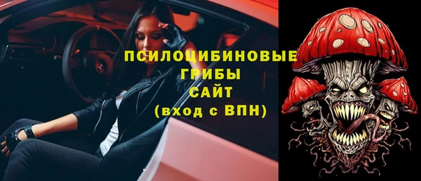 гидра Елабуга