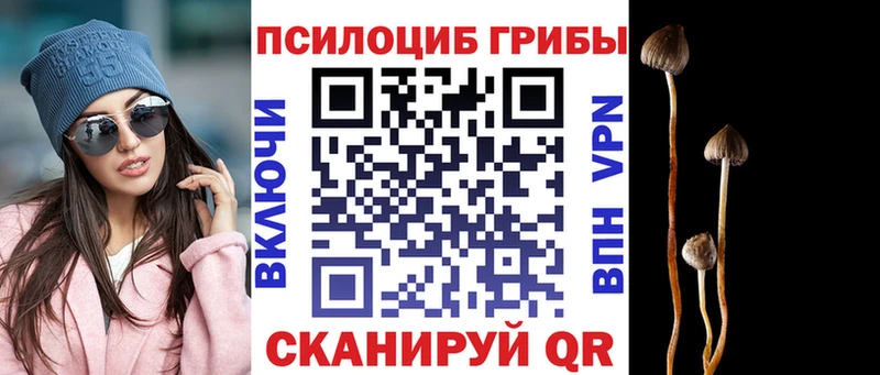 где купить наркотик  Киселёвск  Галлюциногенные грибы ЛСД 