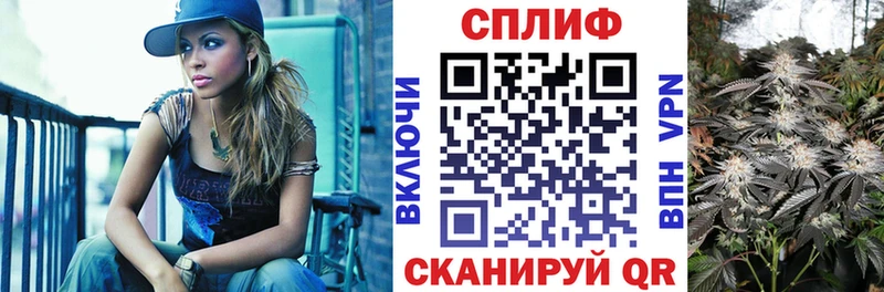 цены наркотик  Киселёвск  Бошки марихуана гибрид 